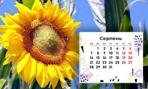 Вихідні та робочі дні у серпні 2023 року